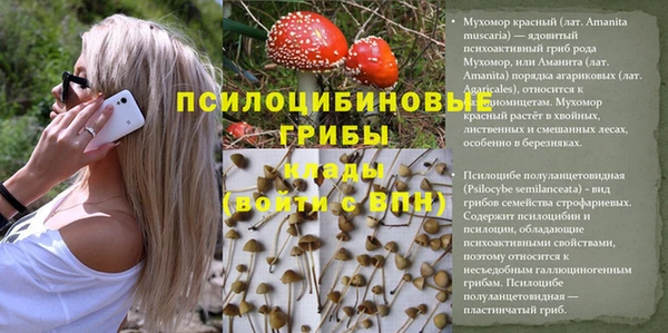 бошки Алексеевка