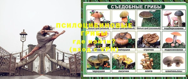 бошки Алексеевка