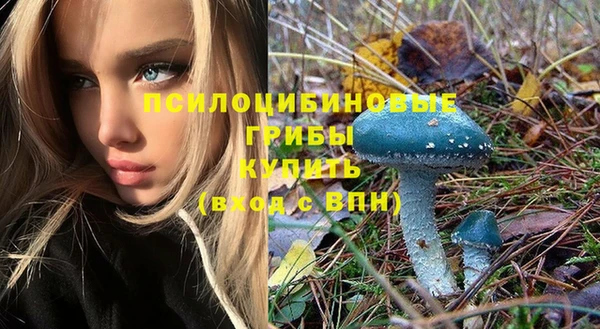 бошки Алексеевка