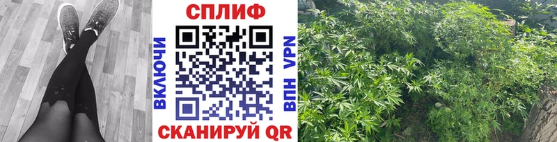 Конопля VHQ  цена наркотик  Лагань 